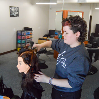 Laurel Institutes Hair Styling